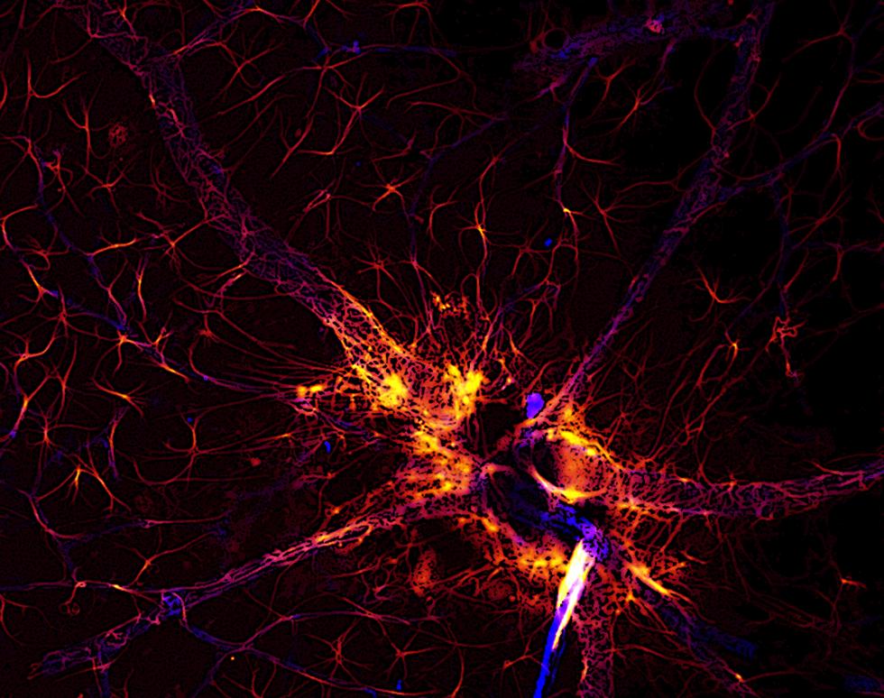 Comicbook Supernova - Salome Murinello